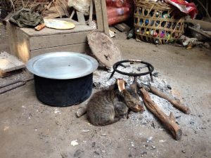 朝は冷えるので囲炉裏のそばに陣取って温まる猫