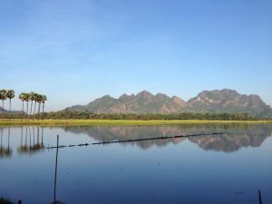 のどかな田園風景が広がる