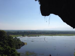 洞窟の途中にある出口。水田がきれい