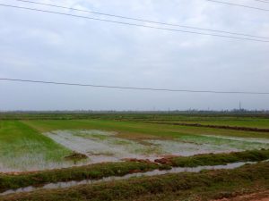 ホーチミントレイルとKien giangの町の間に広がる田園