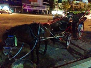 ランパーン名物の花馬車