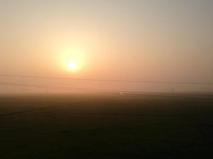 バルコニーからの朝の風景。田んぼが一面に広がる