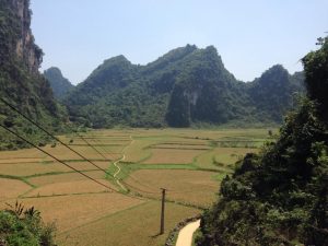 洞窟までの田んぼ道