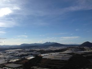 ダラット市内へ戻る途中の風景。イチゴなどのグリーンハウスが多い