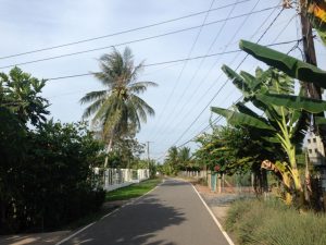 きれいに整備されたThoi Son島