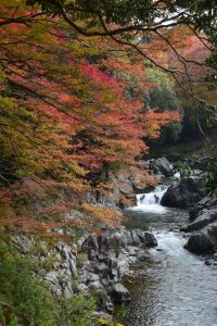 大滝神社。神社のすぐ横に渓谷がある